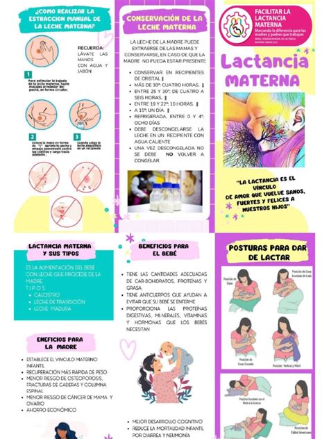 folleto lactancia materna pdf