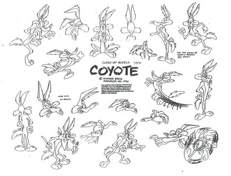 Wile E Coyote Model Sheet Ver 3 By On