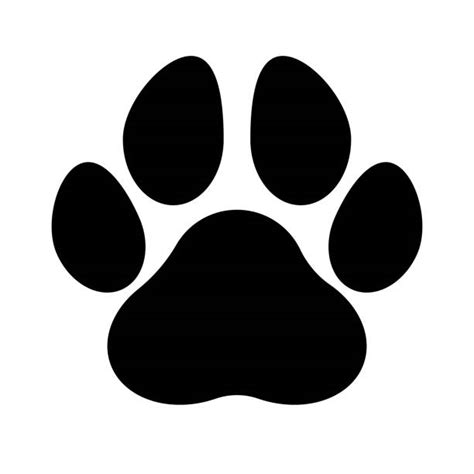 14100 Paw Print Stock Photos Pictures And Royalty Free Images Istock