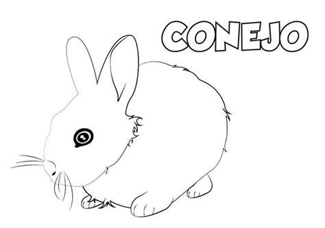 Animales Domesticos Para Colorear Conejo - páginas para colorear