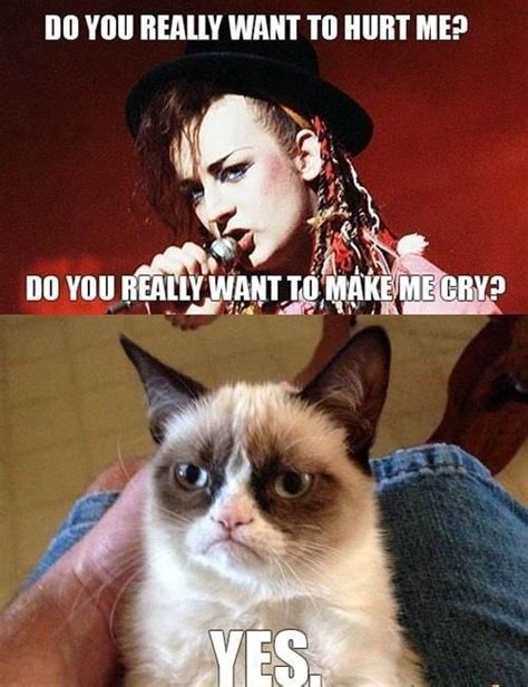 45 Best Funny Grumpy Cat Memes Of All Time Page 2 Of 5 The Viraler