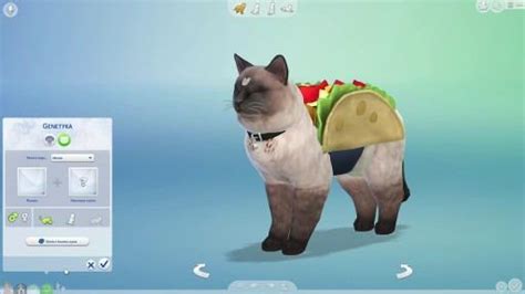 The Sims 4 Psy I Koty Digital Od 6470 Zł Opinie Ceneopl