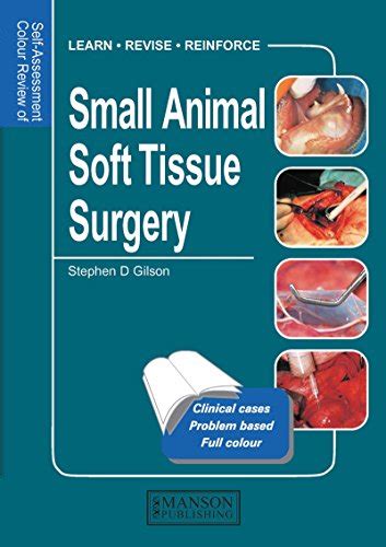Small Animal Soft Tissue Surgery Self Assessment Color Review