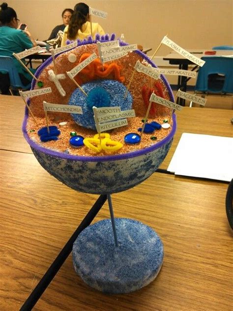3d Model Of Human Cell Cells Project Animal Cell Cell Model