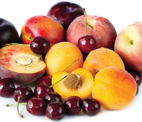 In Season Late Summer Stone Fruit Healthy Food Guide