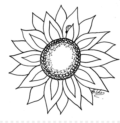 Download High Quality Black And White Flower Clipart Sunflower