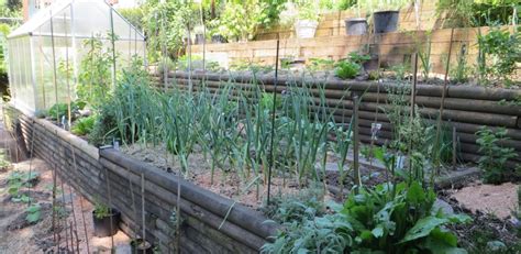 Vegetable Gardening On A Steep Slope Caramel And Parsley Garden Edging