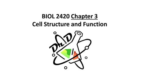 Biol2420 Chapter 3 Cell Structure And Function Youtube