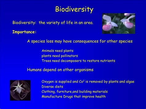Ppt Biodiversity Powerpoint Presentation Free Download Id1755986