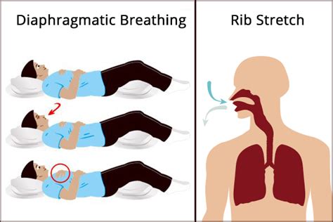 Physiopedia Lung Strengthening Exercises