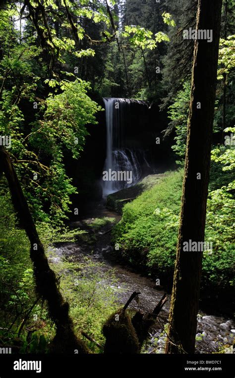 Middle North Falls Silver Falls State Park Oregon Usa Trail Of Ten
