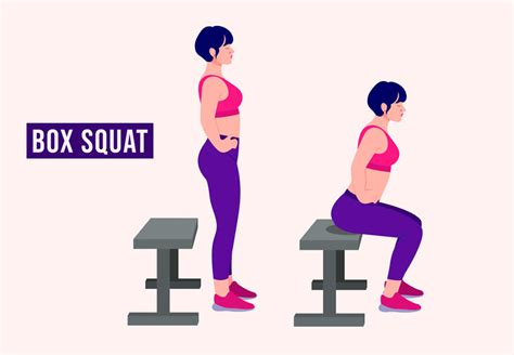 What Is A Box Squat Benefits And Technique Gympion