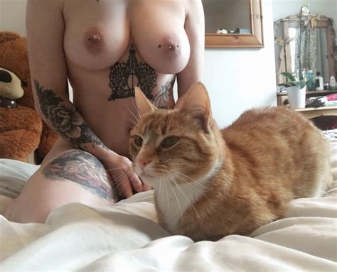 Boobs And Kitten Foto Pornô Eporner
