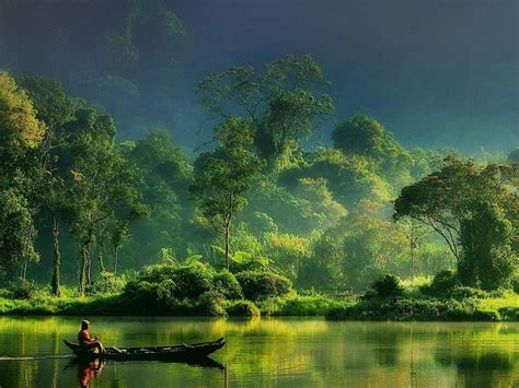 Soothing Greenery By The Lake Side Beautiful Photography