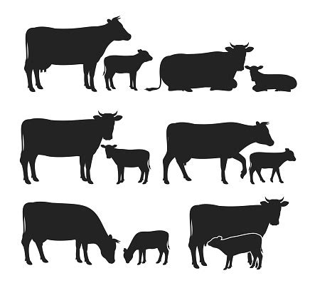 Free Free 247 Clipart Baby Cow Svg SVG PNG EPS DXF File