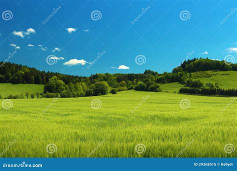 Summer Landscape Stock Image Image Of Grass Hill Color 29368515