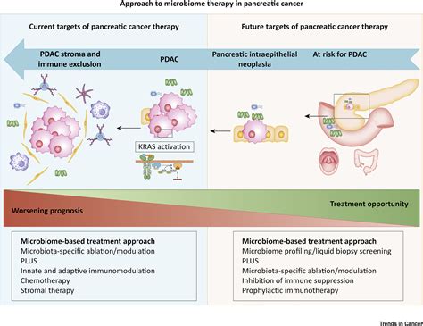 Harnessing The Microbiome For Pancreatic Cancer Immunotherapy Trends