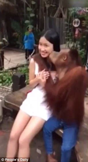 Hilarious Video Shows An Orangutan Expertly Posing For