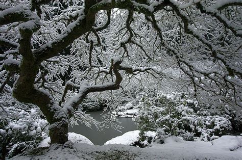 22 Beautiful Pictures Of Winter In Oregon