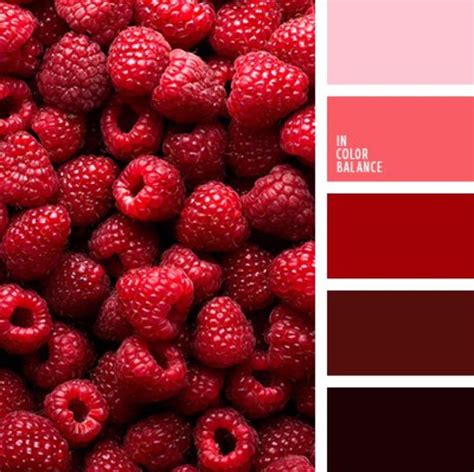 Monochrome Color Palette Red Colour Palette Color Schemes Colour