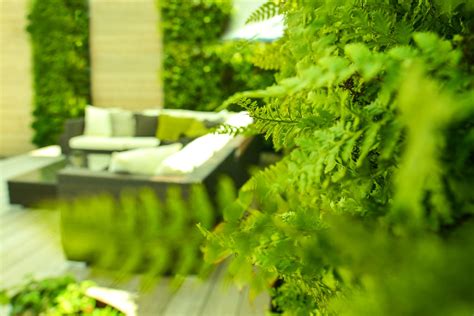 Maybe you would like to learn more about one of these? Vertikalbegrünung für Zuhause, Wohnung, Terrasse und Büro ...
