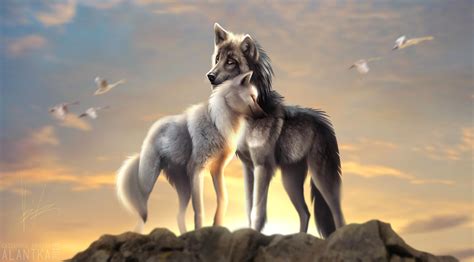 Enjoy and share your favorite beautiful hd wallpapers and background images. Love Wolf Wallpapers - Wallpaper Cave