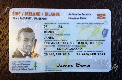 International Driving License Ireland - reneweagle
