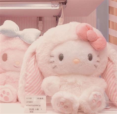 Sanrio Softcore Aesthetic Plushies Pastel Pink Aesthetic