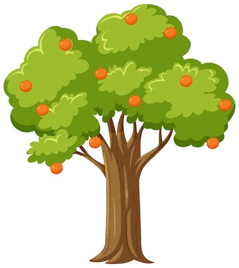 Fruit Tree Animation