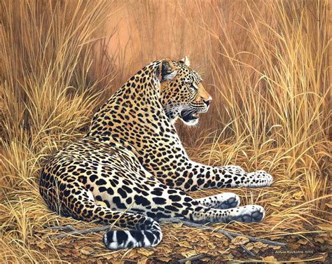 Johan Hoekstra Wildlife Art Prints Wildlife Art Big Cats Art