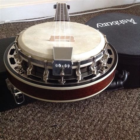 Ashbury Ab 48 Ukulele Banjo With Case In E4 London Für 25000 £ Zum