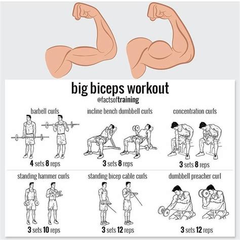 Get Bigger Biceps With These Arm Exercises Big Biceps Workout Biceps Workout Bodybuilding