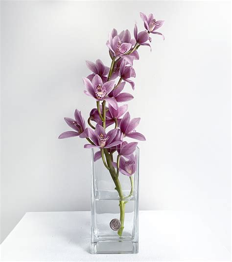 Orchid Vase Lovella