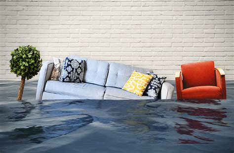 When To Replace Furniture After A Flood Home Furniture Plus Bedding