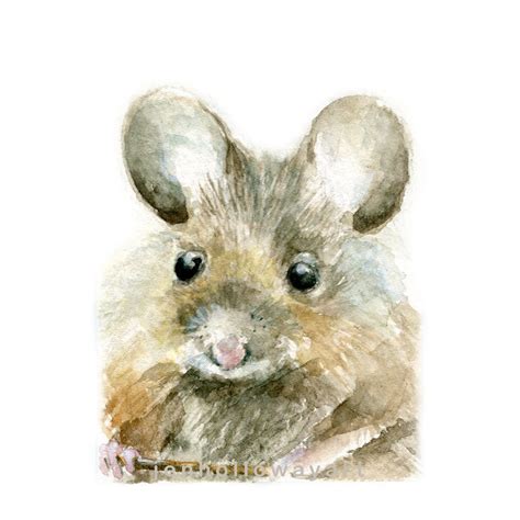 Watercolor Mouse Mouse Print Mouse Portrait Mouse Art By