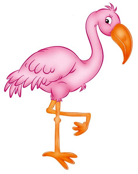 Png Flamingo Png