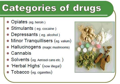 Drugs And Alcohol Abuse Ncert Pmf Ias