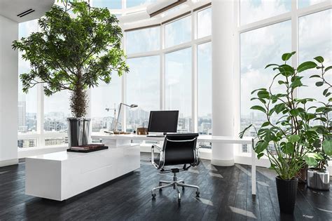 Best Plants For Home Office F