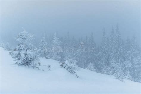 Dense Fog In The Mountains Dramatic Scene Magical Winter Snow Stock
