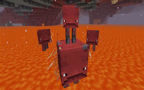 How To Find And Use Striders In Minecraft