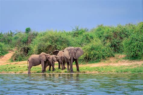 The Largest Lakes In Africa Worldatlas