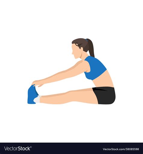 Woman Doing Seated Forward Bend Stretch Exercise Vector Image