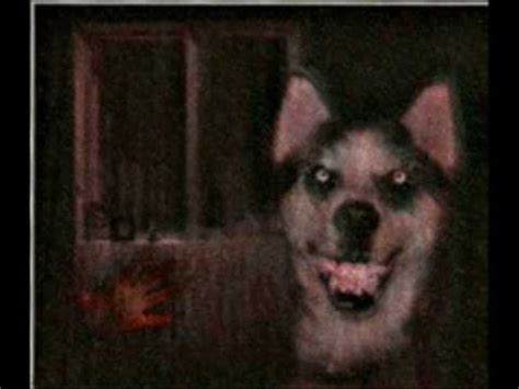 The perfect creepypasta smiledog creepy animated gif for your conversation. creepypasta + EXPLICACION Y RECREACION smile.dog-smile.jpg ...
