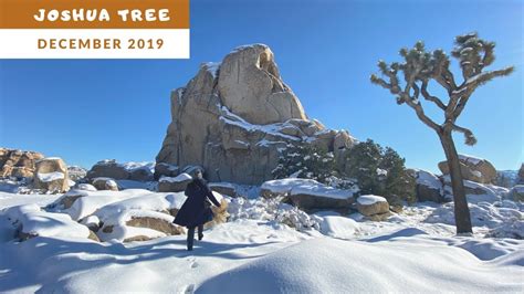 Snow At Joshua Tree In The Winter Youtube