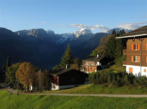 200 Braunwald Photos Stock Photos Pictures And Royalty Free Images Istock