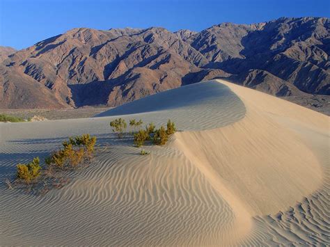 Filedeath Valley Sand Dunes Wikipedia The Free Encyclopedia