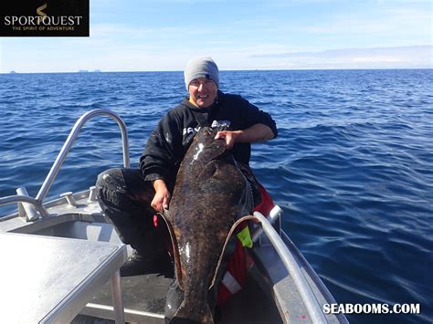 Halibut Fishing Off The Lofoten Islands Norway With Sportquest Holidays