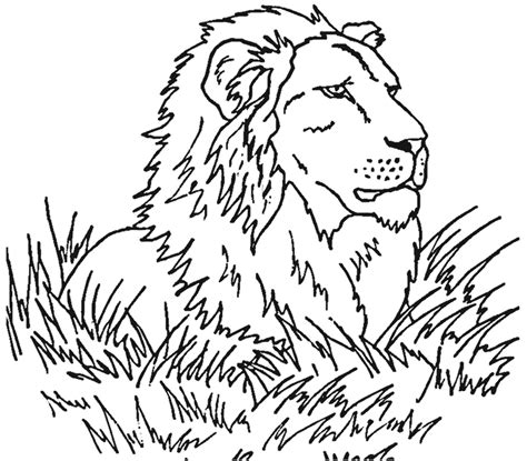 108 Dessins De Coloriage Lion à Imprimer Sur Page 7