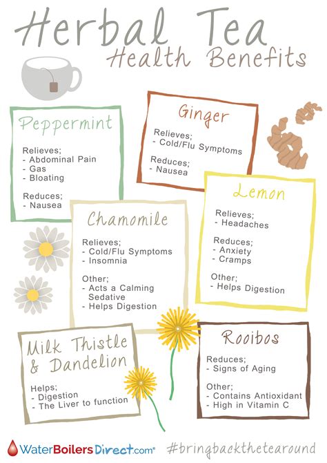 Chamomile Ginger Or Peppermint Health Benefits Of