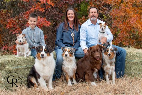 Broken Arrow Australian Shepherds in Texas | Australian Shepherd